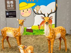 -云间粮仓
