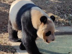 -青岛动物园