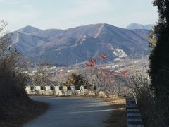 -府君山公园
