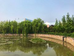 -青岛方特梦幻王国