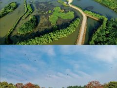 -大湾区中央湿地公园-十九涌