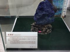-中国第四纪冰川遗迹陈列馆