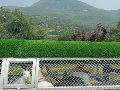 -潭柘厚院&山顶烤肉(潭柘寺店)