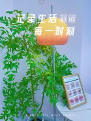 -变美丽半永久纹眉连锁·机器野生眉·洗眉