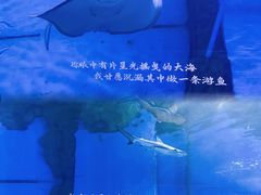 -重庆欢乐海底世界