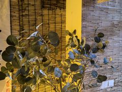 -秘境影院式酒店(苏州平江万达广场店)