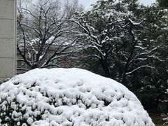 -上海虹桥迎宾馆