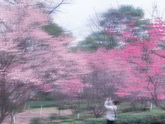 -顶上头·螺蛳火锅(五一新村店)