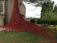 -中青旅遨游旅行旗舰店