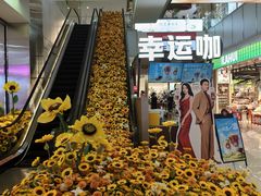 -吾悦广场(天津和平店)