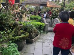 -青城甲(青城山店)