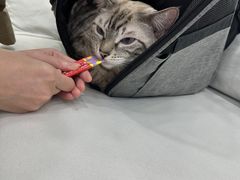 -爱洗澡的猫(天河路店)