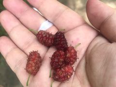 -碓臼峪自然风景区