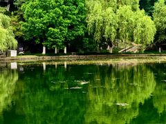 -环城公园-琥珀潭