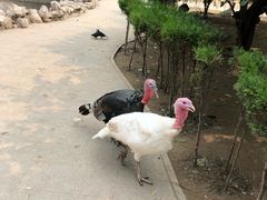-森林公园(尖草坪区)