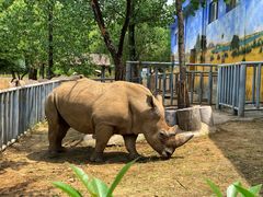 -西安秦岭野生动物园