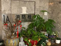 -简·无界健身工作室·运动康复·体态(石厦店)