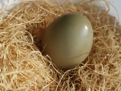 -青岛遇见米兰(八大关店)