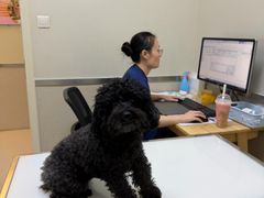 -爱妮康宠物医院·干细胞免疫细胞·肿瘤·心脏(张江店)