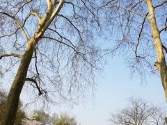 -西湖外事游船(花港观鱼码头)