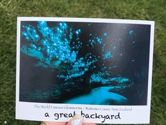 -怀托摩萤火虫洞