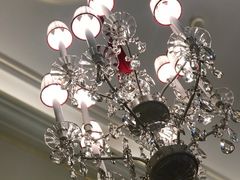 -Cafe Sacher(WIEN)