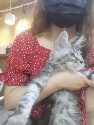 -名品美发