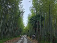 -黄公望隐居地