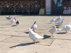 -龙口南山旅游景区