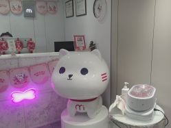 -咪咪专业脱毛连锁机构