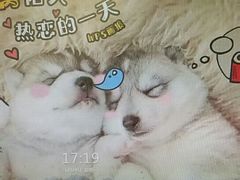 -上关雪東北菜(中房金谊店)