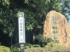 -三水森林公园