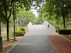 -大兴滨河森林公园