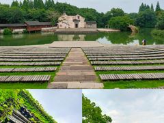 -乌镇景区