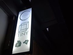 -TINY