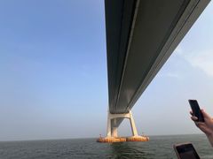 -招商蛇口邮轮母港(观光客运)
