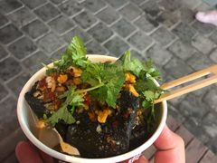 -黑色经典臭豆腐·湖南特产(坡子街特产局店)