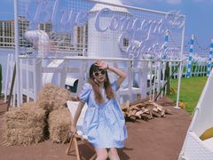 -Blue Concept Cafe&Farm·關於藍