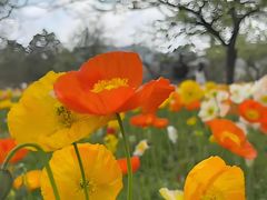 -名花谷生态庄园