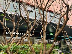 -星巴克臻选(深圳龙华红山天虹店)