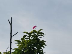 -八方海味餐厅