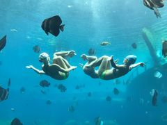 -瑞德姆美人鱼海底演艺主题餐厅(亚龙湾店)