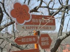 -香雪海