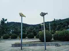 -青岛沙子口国家中心渔港