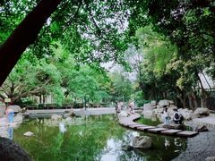 -神仙树公园