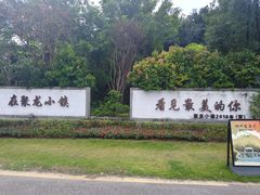 -聚龙小镇