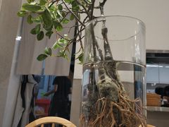 -小豆海棠(嘉兴路店)