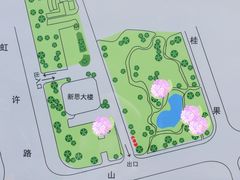 -上海滨江森林公园