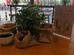 -壳牌华苑加油站