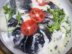 -全乐鱼馆·淳牌有机鱼直营店